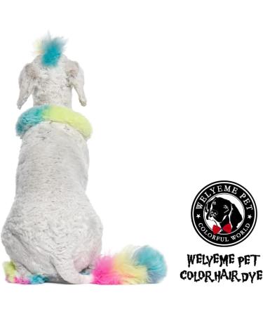 WELYEME Rainbow Dog/Pet Hair Dye Kit - Non-Toxic & Safe Fur Color Paint for Dogs/Cats - Buy Online on GoSupps.com