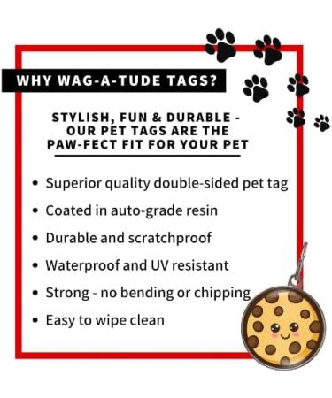 Indoor Cat ID Tag | Free Personalisation - Buy Online on GoSupps.com