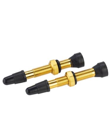 WHISKY - No.9 Aluminum Alloy Tubeless Presta Valve Stem, Pair, 40 Millimeter, Golden