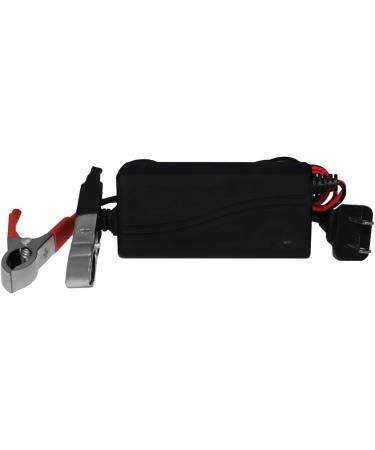 Mighty Max Battery ML12-12 - 12V 12AH SLA Battery with F2 Terminal & Charger | Buy Internationally - Buy Online on GoSupps.com