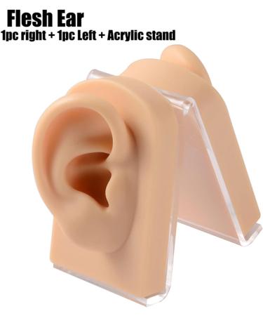 Human Ear Model Professional Soft Silicone Ear Model Fake Ear Display Sample Ear Acupuncture Practice Model for Ear Picking Ear Piercing Teaching Acupuncture B 1 pair - Buy Online on GoSupps.com