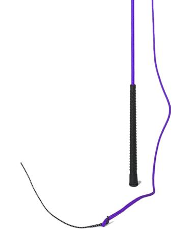 Intrepid International Purple Lunge Whip - Buy Online on GoSupps.com