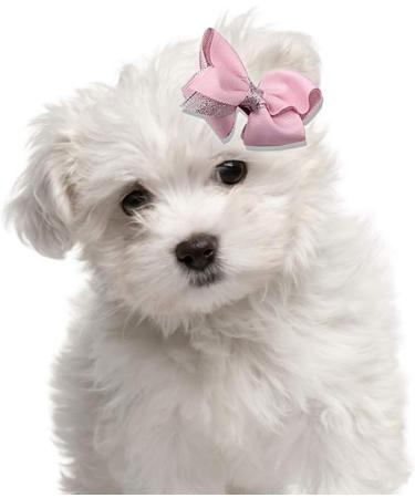 NA 10Pcs Dog Hair Bows Lovely Pets Hair Clips Dog Cat Puppy Grooming Pet Hair Accessory for Cats Dogs Kitten Puppies - Buy Online on GoSupps.com