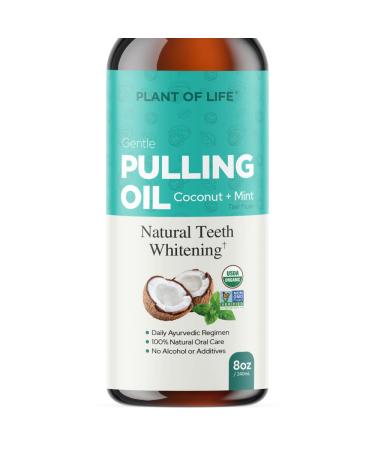 Plant of Life Pulling Oil | Natural Daily Oral Care | Ayurvedic Formula | Coconut + Mint | Gentle Formula & Freshen Breaths | 8 oz (240mL)