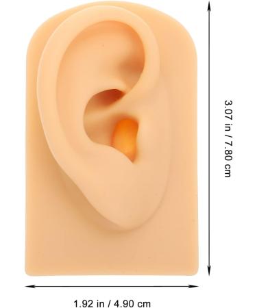 High-Quality Ear Model for Teaching and Suture Practice | Ear Piercing & Display Simulation Props - Buy Online on GoSupps.com
