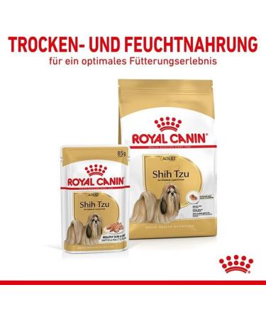 Royal Canin Shih Tzu Adult Mousse Double Pack - 2 x 12 x 85g | Wet Dog Food for Adult Shih Tzus | Supports Fur & Digestion | Senior Dogs 10+ Months - Buy Online on GoSupps.com