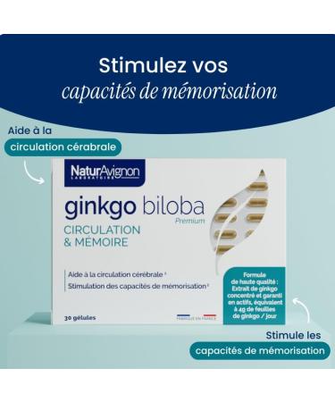 NaturAvignon Ginkgo Biloba Laboratory | Food Supplement Memory Booster Concentration & Blood Circulation | Concentrated Formula with Vitamin B5 | 1 Capsule/Day | Made in France - Buy Online on GoSupps.com