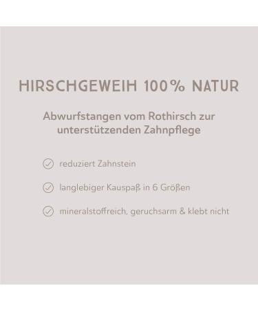 Naftie Hirschweih Half Antler Bone - Natural Chew for Large Dogs | Dental Care Snack | Premium Antler Kausnack L - Buy Online on GoSupps.com