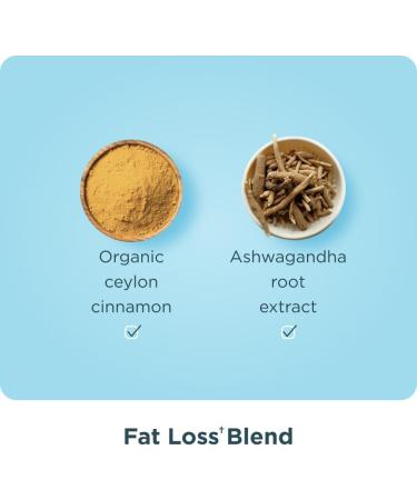 Ancient Nutrition Multi Collagen Advanced Peptides Powder Lean Cinnamon 25 Servings + Grass-fed Whey + Fat Loss Protein Powder Vanilla Cinnamon 18 Servings - Buy Online on GoSupps.com