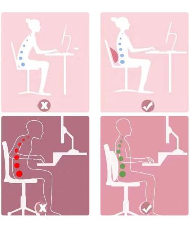 Refresh Neck and Back Support - 2023 Naked Nakery for Sciatic Pain Relief Adjustable Multi-Level Lumbar Support Blue - Buy Online on GoSupps.com