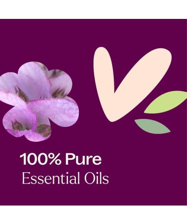 Plant Therapy Planting Kindness Essential Oil Blend 10 mL (1/3 oz) $5 Donated from Each Purchase to The Boys & Girls Club Freshens Your Space with a Bright Aroma Uplifts & Promotes Mental Clarity - Buy Online on GoSupps.com