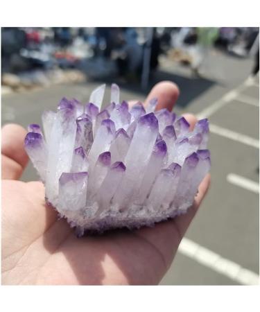 Natural Crystal Rough Crystal Natural Purple Ghost Phantom Quartz Crystal Cluster Rock Stones and Crystals Reiki Specimen Home Deco Crystal (Size : 300-350g) - Buy Online on GoSupps.com