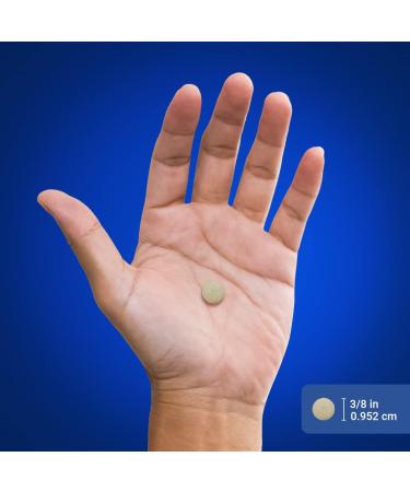 Piping Rock Glucosamine Chondroitin MSM and Turmeric | 300 Tablets | Supplement for Women and Men | Non-GMO Gluten Free - Buy Online on GoSupps.com