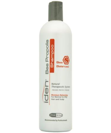 Iden Bee Balanced Moisture Balancing Shampoo 16oz