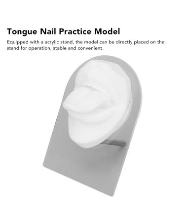 Tongue Puncture Practice Tool | 3D Silicone Mouth Model & Nail Display Set (White) - Buy Internationally - Buy Online on GoSupps.com