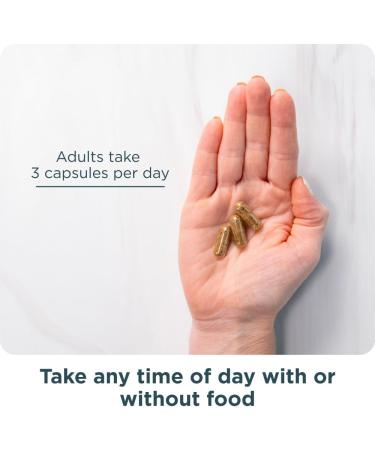 Ancient Nutrition Multi Collagen Advanced Lean Powder 25 Servings + Multi Collagen Advanced Lean Capsules 90 Count - Buy Online on GoSupps.com