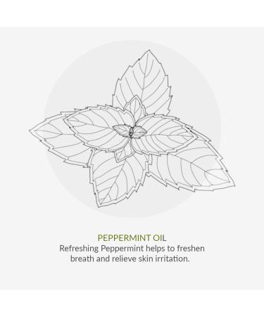 Green People for Men Wildly Fresh Skin Care Duo| Natural & Organic Men s Body Wash & Deodorant Gift Set | Refreshing Cooling Mint | SLS Free Paraben Free & Ethanol Free | Cruelty Free & Vegan - Buy Online on GoSupps.com