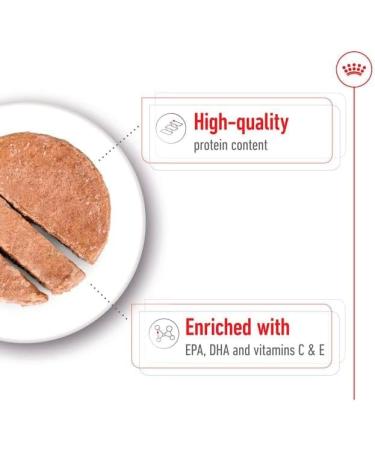 Royal Canin Medium Ageing 7+ Wet Dog Food In Loaf Cans 12 x 410g - Buy Online on GoSupps.com