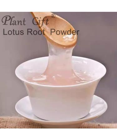 100% Natural Pure Lotus Root Powder 100g/3.52oz pour smoothies shakes p tisseries et boissons | sans conservateurs lyophilis sans sucre ajout  - Buy Online on GoSupps.com