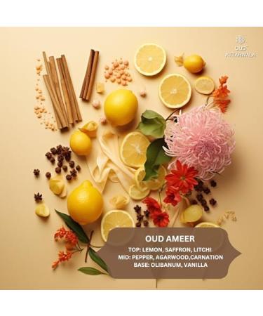prime craft Oud Ameer Attar (12ml) | Long Lasting Roll On Attar | Alcohol Free Perfume Oil | Authentic Arabic Fragrance Oil (Unisex) - Buy Online on GoSupps.com