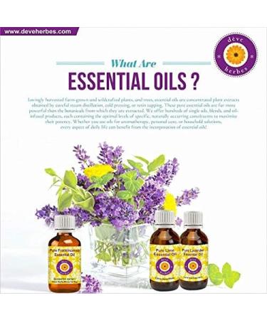 Deve Herbes Pure Chilli Seed Essential Oil (Capsicum annum) Steam Distilled 15ml (0.50 oz) - Buy Online on GoSupps.com