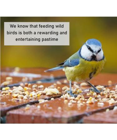 5 Litre Refill Bag Squirrel Mixture Premium Wild Life Food Garden Seed Feed (Weight 3kg/approx. 5L) - Buy Online on GoSupps.com