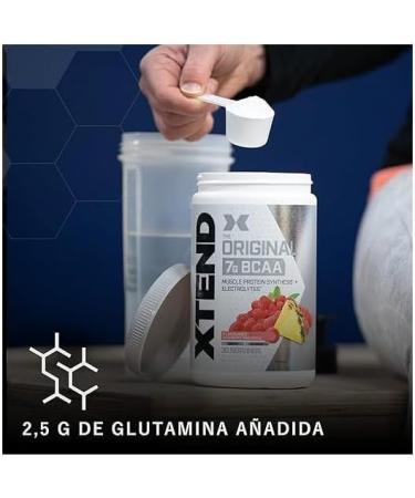 XTEND Original BCAAs Powder - Blood Orange | Food Supplement with Branched Amino Acids | 7g BCAAs + Electrolytes for Recovery - Buy Online on GoSupps.com