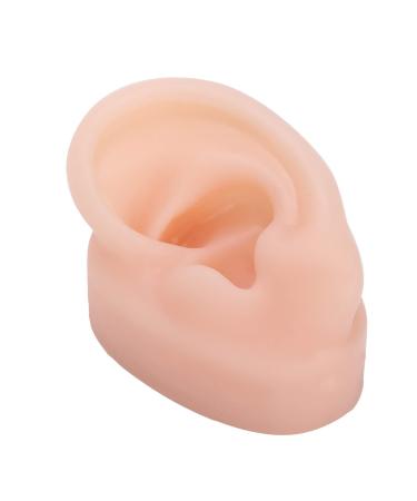 Human Ear Model Ear Display Silicone No Bubbles Simulated for Demonstration of Wearing Hearing Aids Shop Window Displays