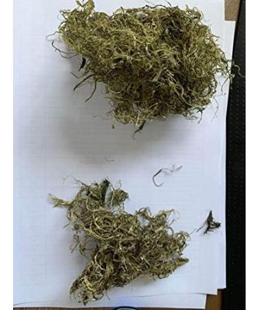 Wakame Stalk Seaweed Dried Natural Dried For Salad From China 600g in Bulk - Buy Online on GoSupps.com