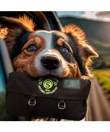 Stimio Bamboo Activated Carbon Air Purifier 500g - Car Dehumidifier & Odor Neutralizer - Eco-Friendly Freshener Alternative - Buy Online on GoSupps.com