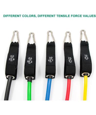 Exercise and Resistance Bands Set for Indoor and Outdoor Sports Fitness - Buy Online on GoSupps.com