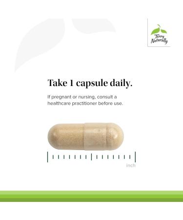 Terry Naturally Olive Extract EP20 - Brain Health Support Supplement with Olive Leaf Extract - Herbal Supplement to Aid Healthy Immune System Function - 60 Capsules (60 Servings) - Buy Online on GoSupps.com