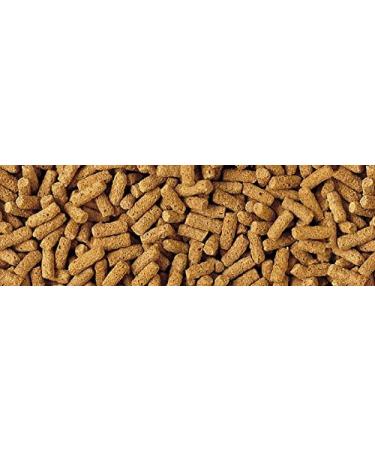 Tetra Wheatgerm Pond Fish Food Sticks 1.4kg - for cold weather feeding Fish 7 l (Pack of 1) - Buy Online on GoSupps.com