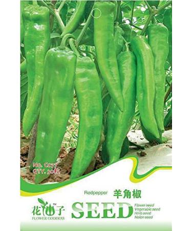 3 Pack 90 Healthy Green Fork Green Pepper Vegetable Seeds Capsicum C077