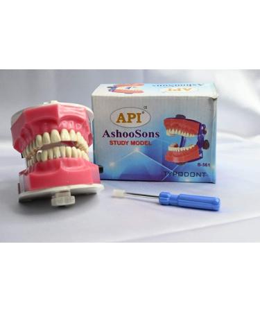 Typhodent Jaw Set - Buy Online on GoSupps.com