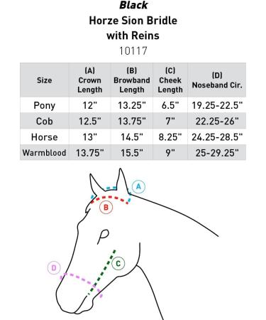 Buy HORZE Horse Bridle Sion - English Noseband & Reins in Black for Thoroughbreds - International Shipping Available - Buy Online on GoSupps.com