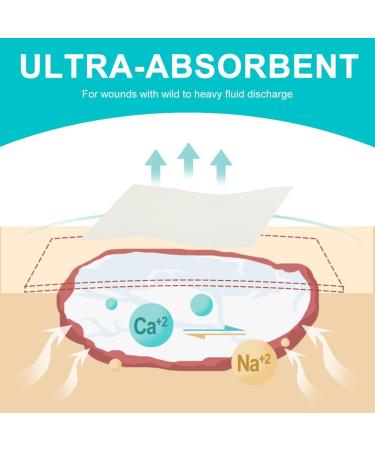 Buy 4x4 Calcium Alginate Wound Dressing - Non-Adhesive Highly Absorbent Ideal for Pressure Ulcers Bed Sores Diabetic Foot Ulcers & Burns - Pack of 10 - International Shipping Available - Buy Online on GoSupps.com