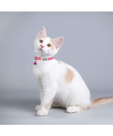 Tagme Personalized Cat Collar - Adjustable Safety Neck Band for Cats (2-Pack) - Pink - Custom Name & Phone Number Fits 18-28 cm - Buy Online on GoSupps.com