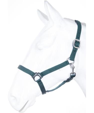 Buy RL24 - Dark Green Nylon Halter BASICLINE for Ponies | Durable & Stylish Equestrian Gear - Buy Online on GoSupps.com