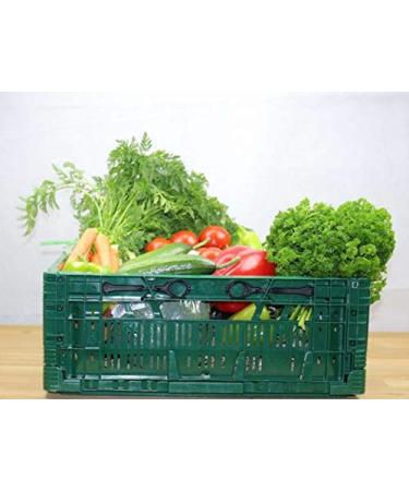 Obstprofi24 Classic Vegetable Box - Fresh Seasonal Salad & Veggies Delivered Internationally - Buy Online on GoSupps.com