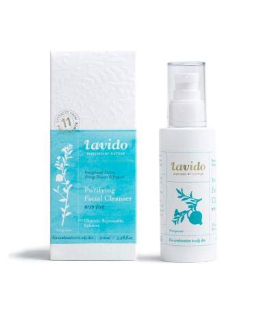 Lavido Natural Purifying Facial Cleanser - Clean Non-Toxic Skincare | 4 fl oz - Shop Internationally - Buy Online on GoSupps.com