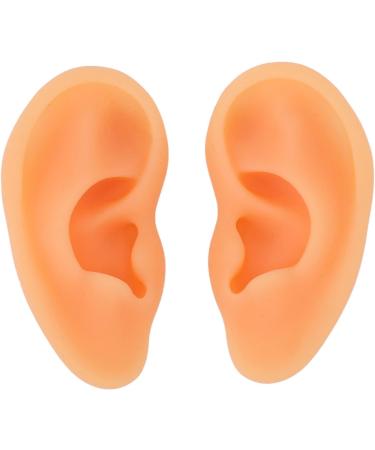 Acupuncture Ear Model 2pcs - Waterproof & Flexible Mold for Doctors - Buy Online on GoSupps.com