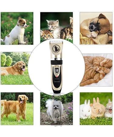 Ceenwes Rechargeable Pet Clippers with Storage Case | Low Noise Professional Dog Grooming Tool | Cordless Trimmer with Comb Guides and Scissors for Dogs, Cats & More | Gold - Buy Online on GoSupps.com