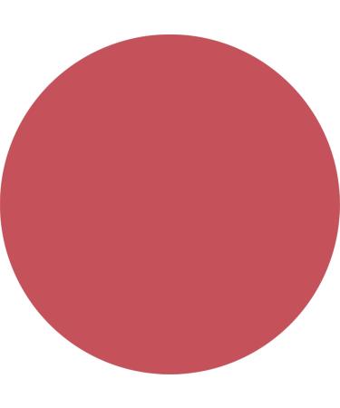  WYCON cosmetics WYCON Cosmetic Everlasting 24H Automatic Lip Pencil with Soft Texture Precise Application and Intense Colour Extra Durability 24 FAIR SCARLET - Buy Online on GoSupps.com