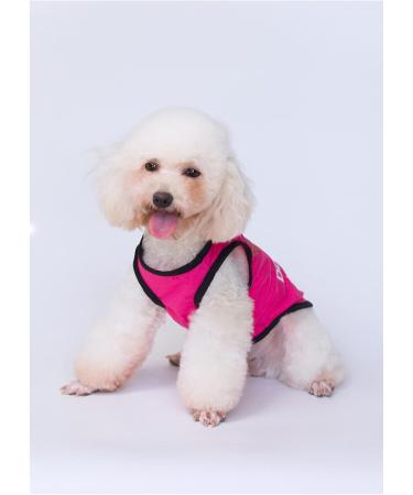 3-Pack Princess Prince T-Shirts for Dogs & Cats Cute Costumes for Small & Medium Pets | Shop Now! - Buy Online on GoSupps.com