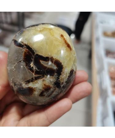 Home Decoration 1pcs Turtle Bay Palm CrystalStones Natural Carved for Feng Shui Stones ZJGIDTEM - Buy Online on GoSupps.com