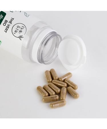 Detox & Cure Slimming - Ecocert Certified Organic Green Tea - Pill Box of 120 Capsules - 1 Month Care - Belle & Bio Food Supplement - Made in France - Buy Online on GoSupps.com