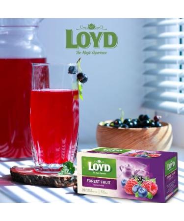 Loyd the Magic Experience Forest Fruit Flavoured Fruit Tea 40g | 20 Tea Bags | Poland Tea Brand | Tea Bags Individually Wrapped | Tea for Every Guest (Forest Fruit 2 Pack) Forest Fruit 2 Pack - Buy Online on GoSupps.com