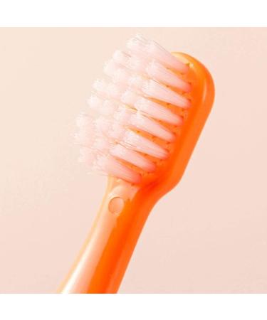 Pretty Little Fox Extra Soft Toddler Toothbrush - Ideal for Ages 4-12 Individually Packaged Manual Toothbrush - Buy Online on GoSupps.com