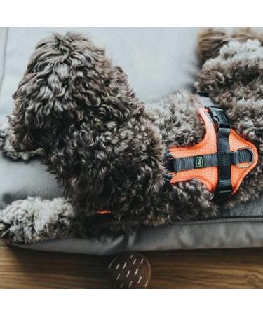 HUNTER Maldon Harness XS (34-49 cm) - Orange/Grey for Dogs | International Shipping - Buy Online on GoSupps.com